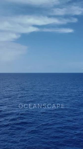The Beauty of the Sea